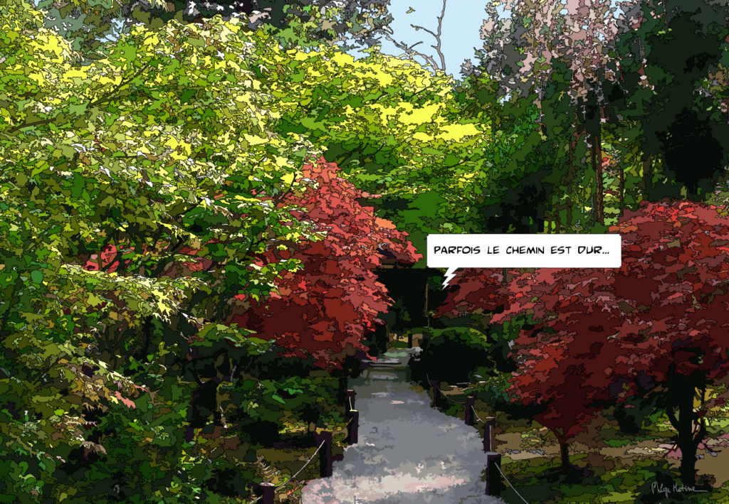 Chemin de jardin japonais automne — art Ligne Claire Japon — Philippe Matine