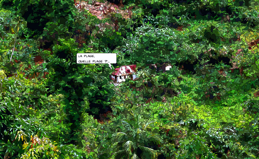 Jungle tropicale Antilles — art Ligne Claire Antilles — Philippe Matine