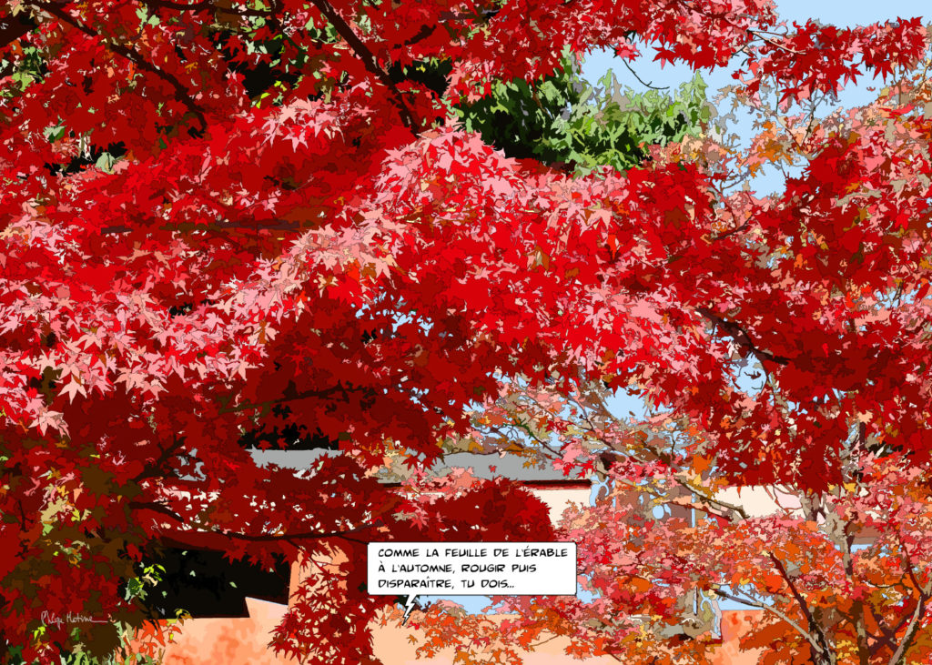 Arbre rouge automne Japon — art Ligne Claire Japon — Philippe Matine