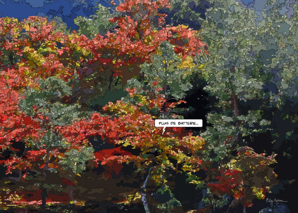 Forêt japonaise automne couleurs — art Ligne Claire Japon — Philippe Matine