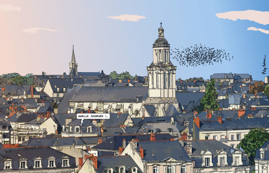 Toits d'Angers vue depuis les hauteurs — art Ligne Claire Angers — Philippe Matine