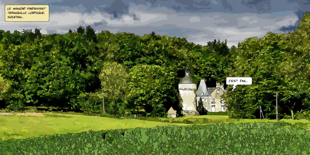 Manoir percheron façade en pierre — art Ligne Claire Le Perche — Philippe Matine