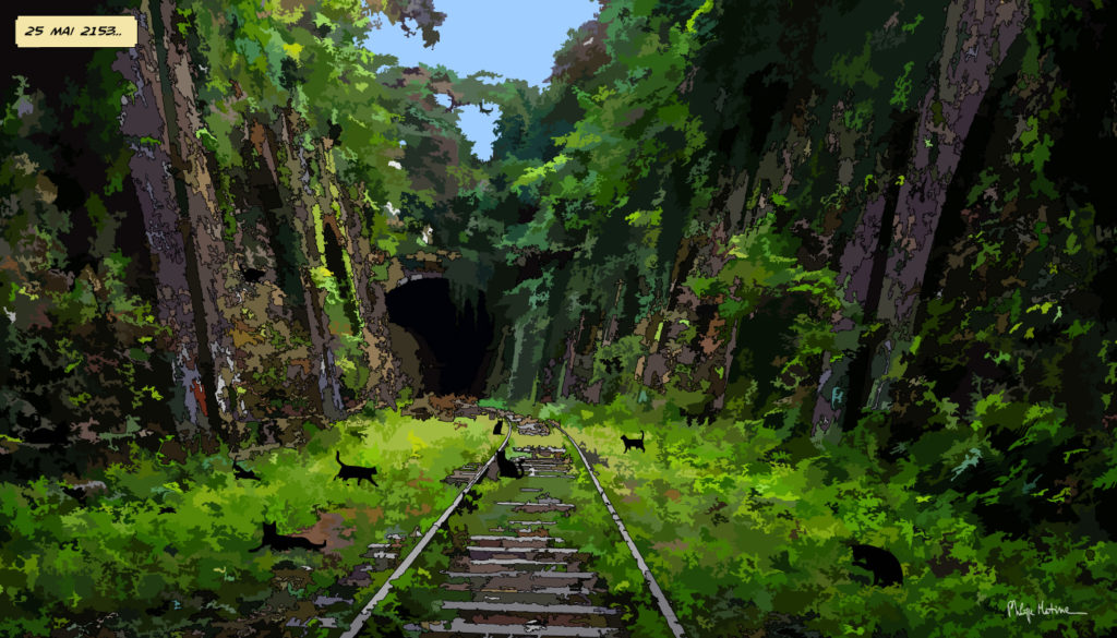 La Petite Ceinture envahie par la végétation Paris — art Ligne Claire Paris — Philippe Matine