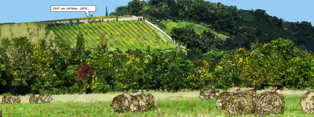 Coteaux de Béhuard vignes Loire — art Ligne Claire Angers — Philippe Matine