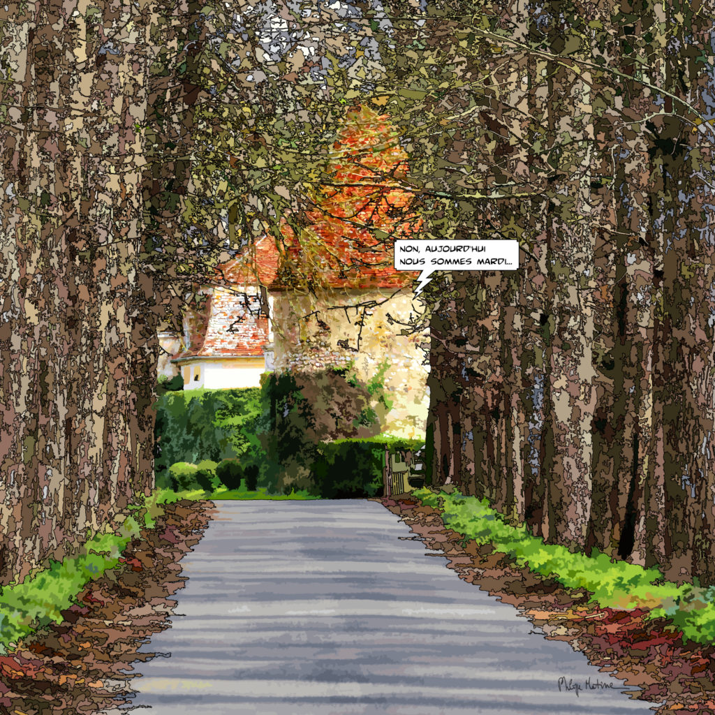 Manoir du Perche allée d'arbres automne — art Ligne Claire Le Perche — Philippe Matine