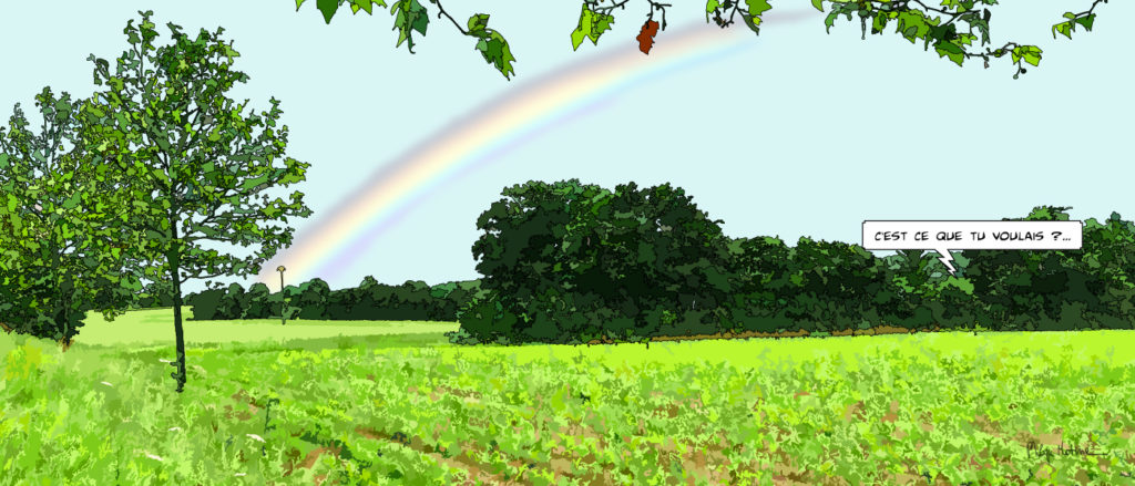 Arc-en-ciel sur les prairies du Perche — art Ligne Claire Le Perche — Philippe Matine