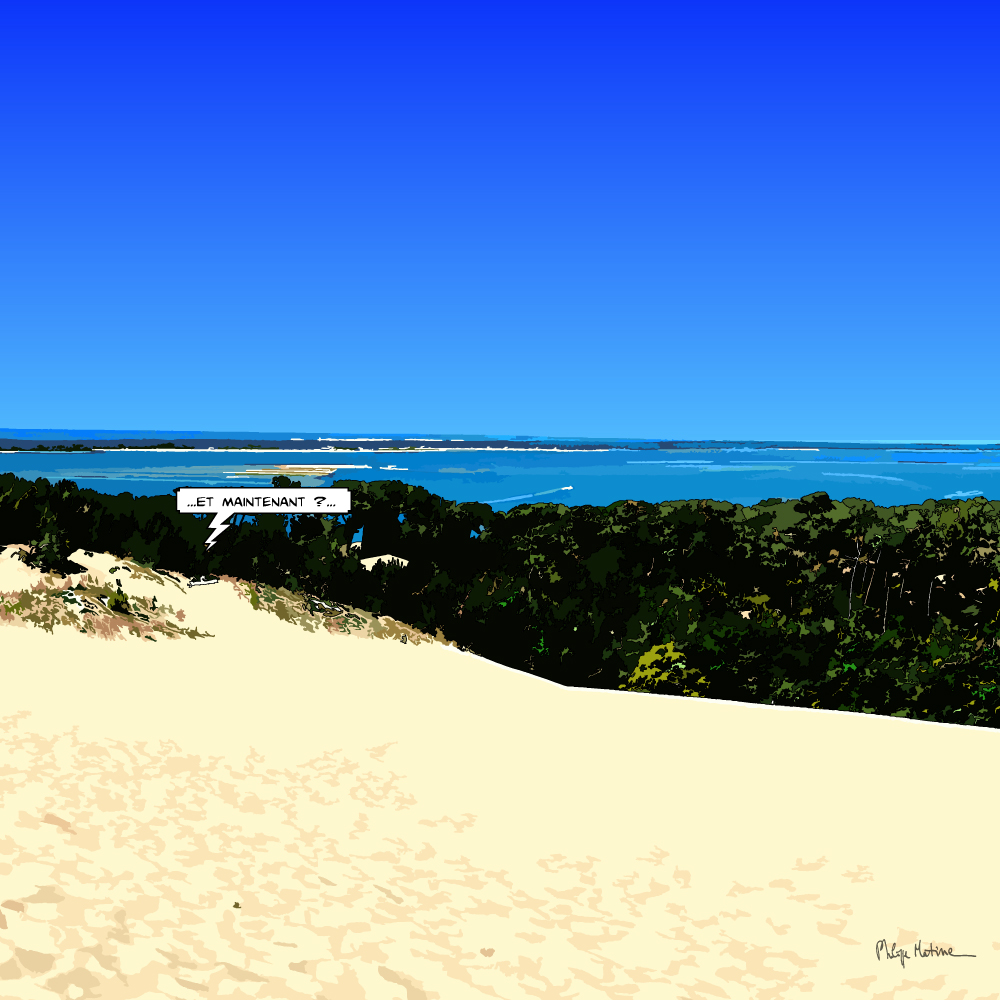 Dune du Pilat Arcachon vue aérienne — art Ligne Claire Bordeaux — Philippe Matine
