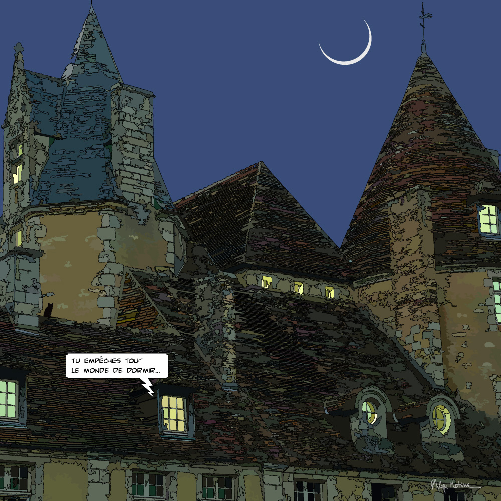 Manoir de La Vove Le Perche la nuit — art Ligne Claire Le Perche — Philippe Matine