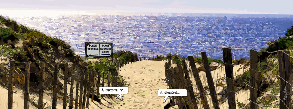 Cap Ferret végétation et plage sauvage — art Ligne Claire Bordeaux — Philippe Matine
