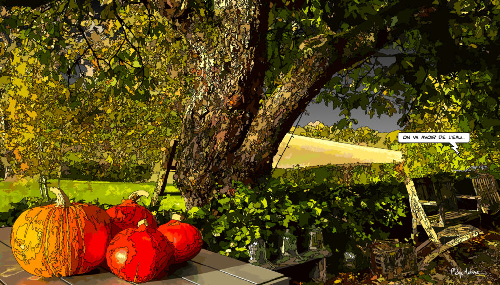 Citrouilles d'automne Le Perche jardin — art Ligne Claire Le Perche — Philippe Matine