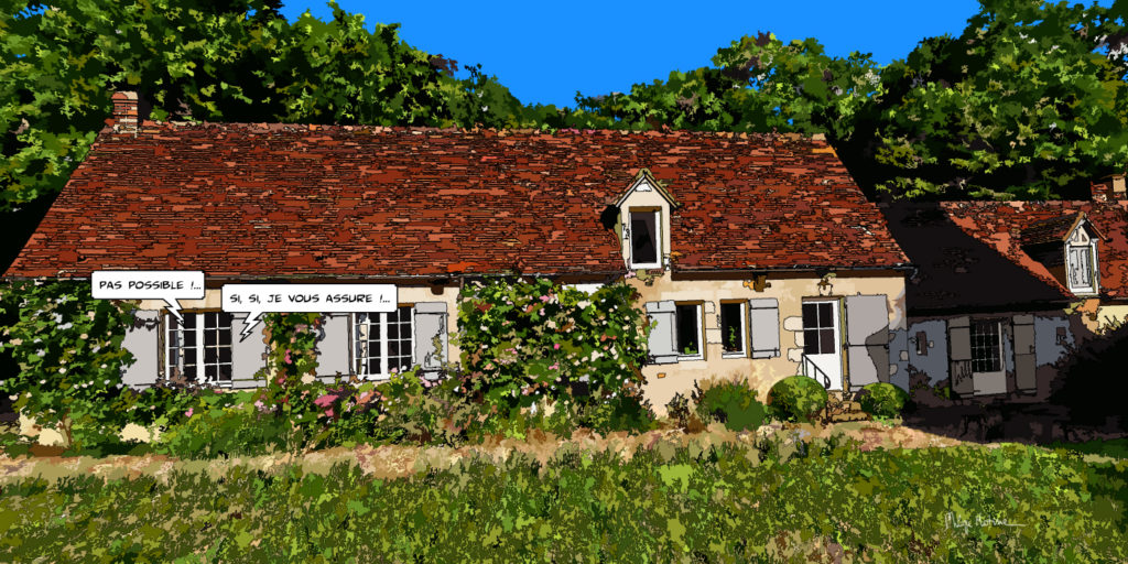 Maison percheronne toit et jardin — art Ligne Claire Le Perche — Philippe Matine