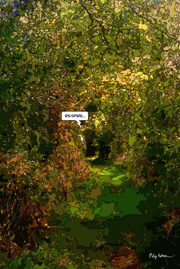 Chemin creux bordé de haies Le Perche — art Ligne Claire Le Perche — Philippe Matine