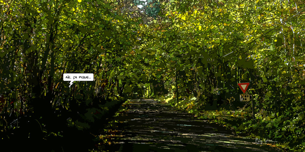 Route verte bordée d'arbres Le Perche — art Ligne Claire Le Perche — Philippe Matine