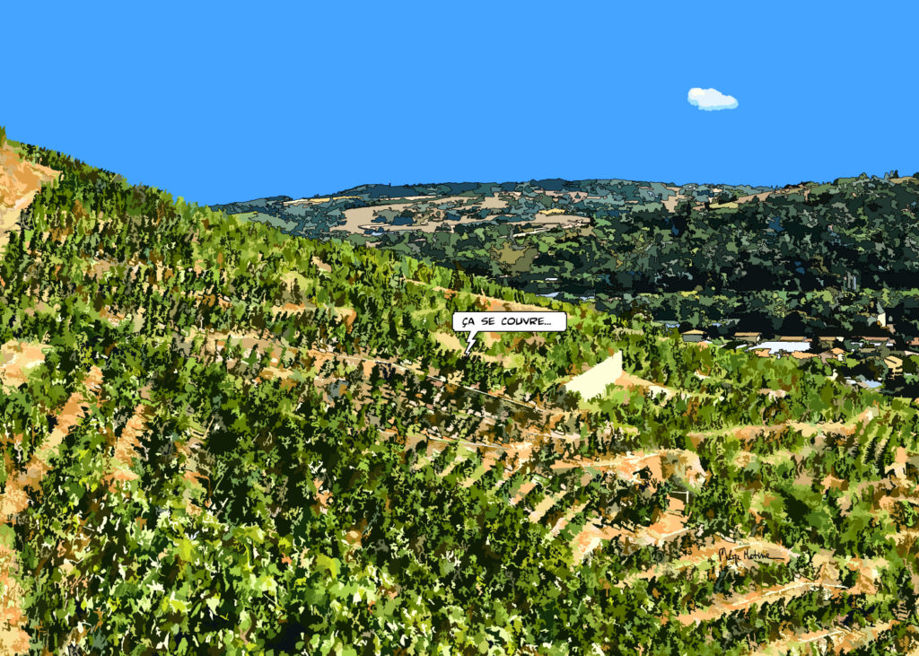 Vignobles de Vienne près de Lyon — art Ligne Claire Lyon — Philippe Matine