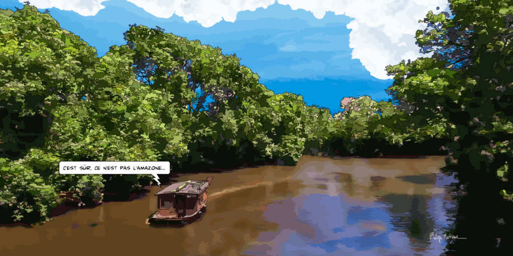 Amazone Angers bords de Maine — art Ligne Claire Angers — Philippe Matine
