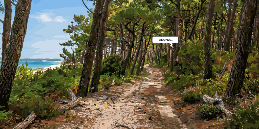 balade dans la forêt landaise vers Arcachon / Cap Ferret