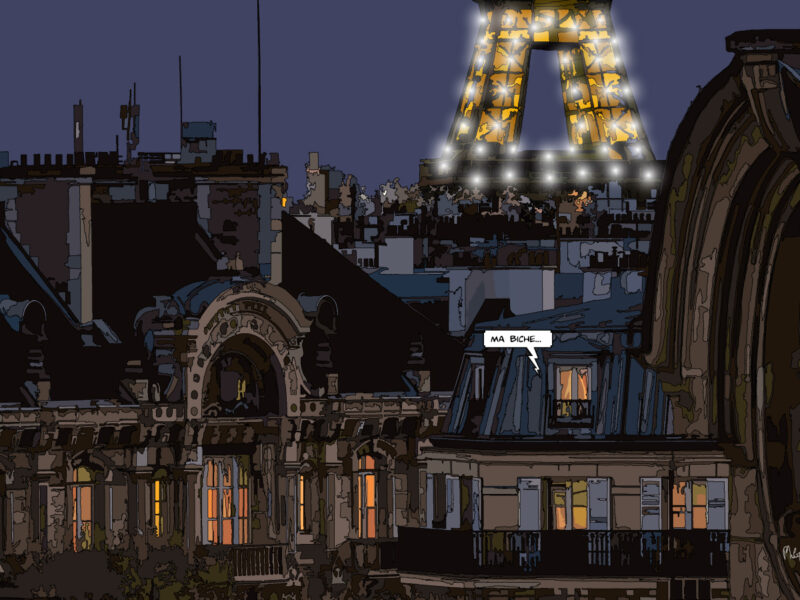 Paris // Eiffel rooftop night "biche"